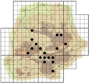 Rotheca myricoides Waterberg distribution